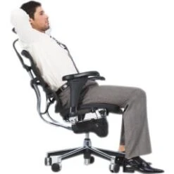 Ergohuman Elite Leather Office Chairs (With Headrest) -Enjoy Sales Store 004405