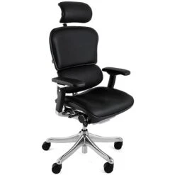 Ergohuman Plus Luxury Leather Office Chair (With Headrest)