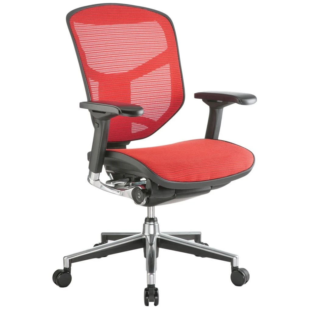 Enjoy Mesh Office Chairs (Without Headrest) 4 Enjoy Mesh Office Chairs (Without Headrest) - Image 4