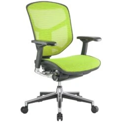 Enjoy Mesh Office Chairs (Without Headrest) 10 Enjoy Mesh Office Chairs (Without Headrest) -Enjoy Sales Store 029345