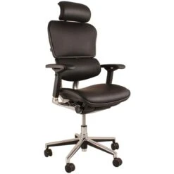 Ergohuman Elite Leather Office Chairs (With Headrest)