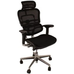 Ergohuman Elite Mesh Office Chairs (With Headrest)