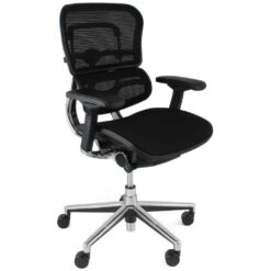 Ergohuman Elite Mesh Office Chairs (Without Headrest)