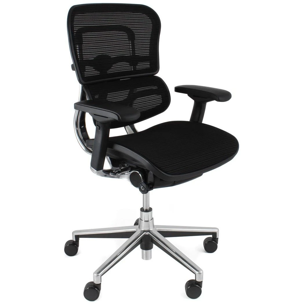 Ergohuman Elite Mesh Office Chairs (Without Headrest) 1 Ergohuman Elite Mesh Office Chairs (Without Headrest)