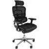 Ergohuman Elite Mesh & Leather Office Chairs (With Headrest)