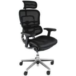 Ergohuman Elite Mesh & Leather Office Chairs (With Headrest)
