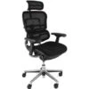 Ergohuman Elite Mesh & Fabric Office Chairs (With Headrest)