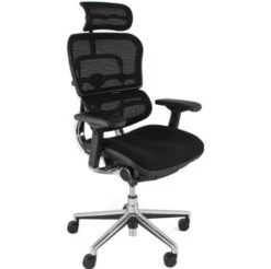 Ergohuman Elite Mesh & Fabric Office Chairs (With Headrest)