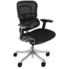 Ergohuman Plus Luxury Mesh Office Chair (Without Headrest)