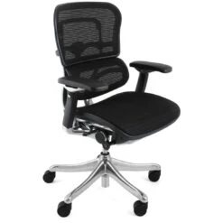 Ergohuman Plus Luxury Mesh Office Chair (Without Headrest)