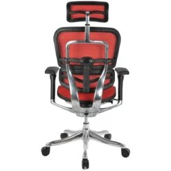 Ergohuman Plus Luxury Mesh Office Chair (With Headrest) -Enjoy Sales Store 029632