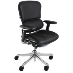 Ergohuman Plus Luxury Leather Office Chair (Without Headrest)