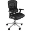 Ergohuman Plus Luxury Mesh & Leather Chair (Without Headrest)