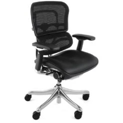 Ergohuman Plus Luxury Mesh & Leather Chair (Without Headrest)