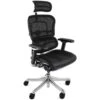 Ergohuman Plus Luxury Mesh & Leather Chair (With Headrest)