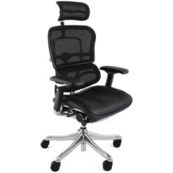 Ergohuman Plus Luxury Mesh & Leather Chair (With Headrest)