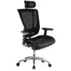 Nefil Ergonomic Mesh & Leather Office Chair (With Headrest)