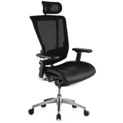 Nefil Ergonomic Mesh & Leather Office Chair (With Headrest)