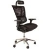Mirus Ergonomic Mesh Office Chair (With Headrest)