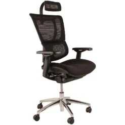 Mirus Ergonomic Mesh Office Chair (With Headrest)