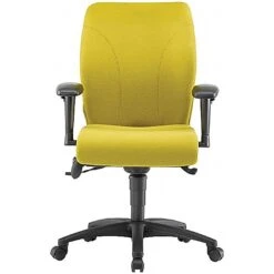 Pledge Ethos Medium Back Posture Chair
