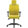 Pledge Ethos Medium Back Posture Chair With Headrest