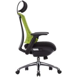 Flash Ergonomic Task Chair With Headrest -Enjoy Sales Store 053730