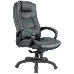 Parma Executive Leather Office Chairs -Enjoy Sales Store 053737