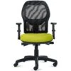 Mantle Mesh Back Ergonomic Task Chair