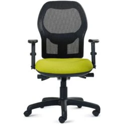 Mantle Mesh Back Ergonomic Task Chair