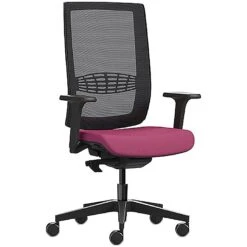 Pledge Kind Mesh Back Task Chair With Height Adjustable Arms