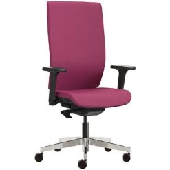 Pledge Kind Full Back Executive Chair With Height Adjustable Arms