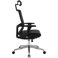 Eve 24/7 Ergonomic Mesh And Leather Task Chair -Enjoy Sales Store 073946