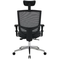 Eve 24/7 Ergonomic Mesh And Leather Task Chair -Enjoy Sales Store 073947