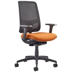Absolute Mesh Back Task Chair