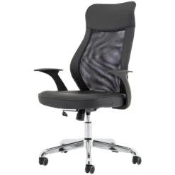 Crawford Mesh Back Office Chair -Enjoy Sales Store 092841