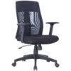 Arizona Mesh Task Chair