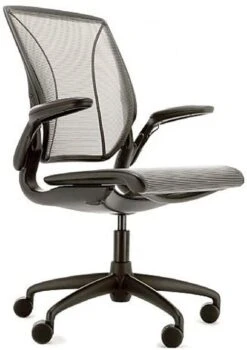 Humanscale Diffrient World Chair