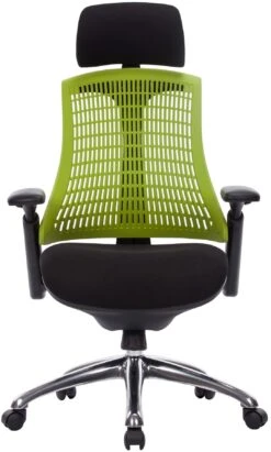Flash Ergonomic Task Chair With Headrest -Enjoy Sales Store 103989