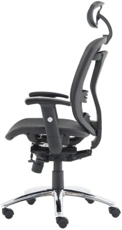 Carinosa II Mesh Office Chair 5 Carinosa II Mesh Office Chair -Enjoy Sales Store 104325