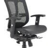 Carinosa II Mesh Office Chair