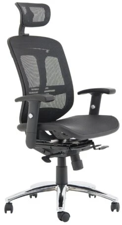 Carinosa II Mesh Office Chair