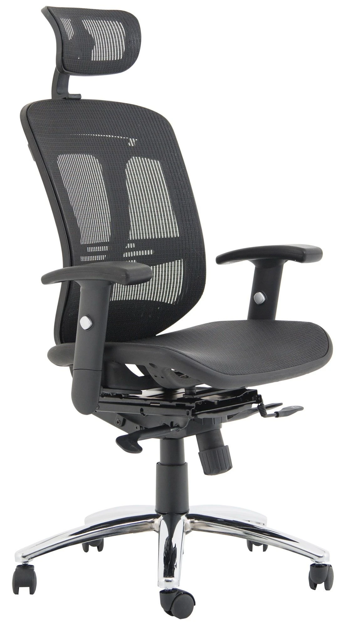 Carinosa II Mesh Office Chair 1 Carinosa II Mesh Office Chair