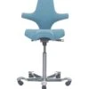 HAG Capisco 8106 Chair