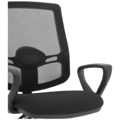 Blazer 2 Lever Lumbar Mesh Office Chairs -Enjoy Sales Store 105445