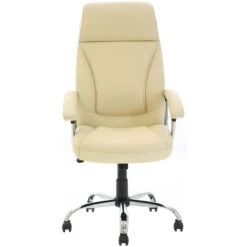 Prospect Executive Office Chair 19 Prospect Executive Office Chair -Enjoy Sales Store 105802