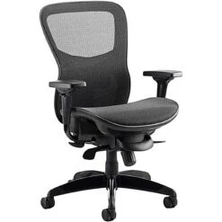Raptor Mesh And Fabric Office Chair