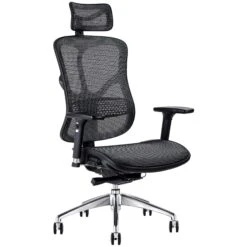 F94 All Mesh Office Chair With Headrest