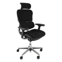 Ergohuman Elite Fabric Office Chairs (With Headrest)