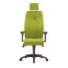 Pledge Ethos High Back Posture Chair With Headrest